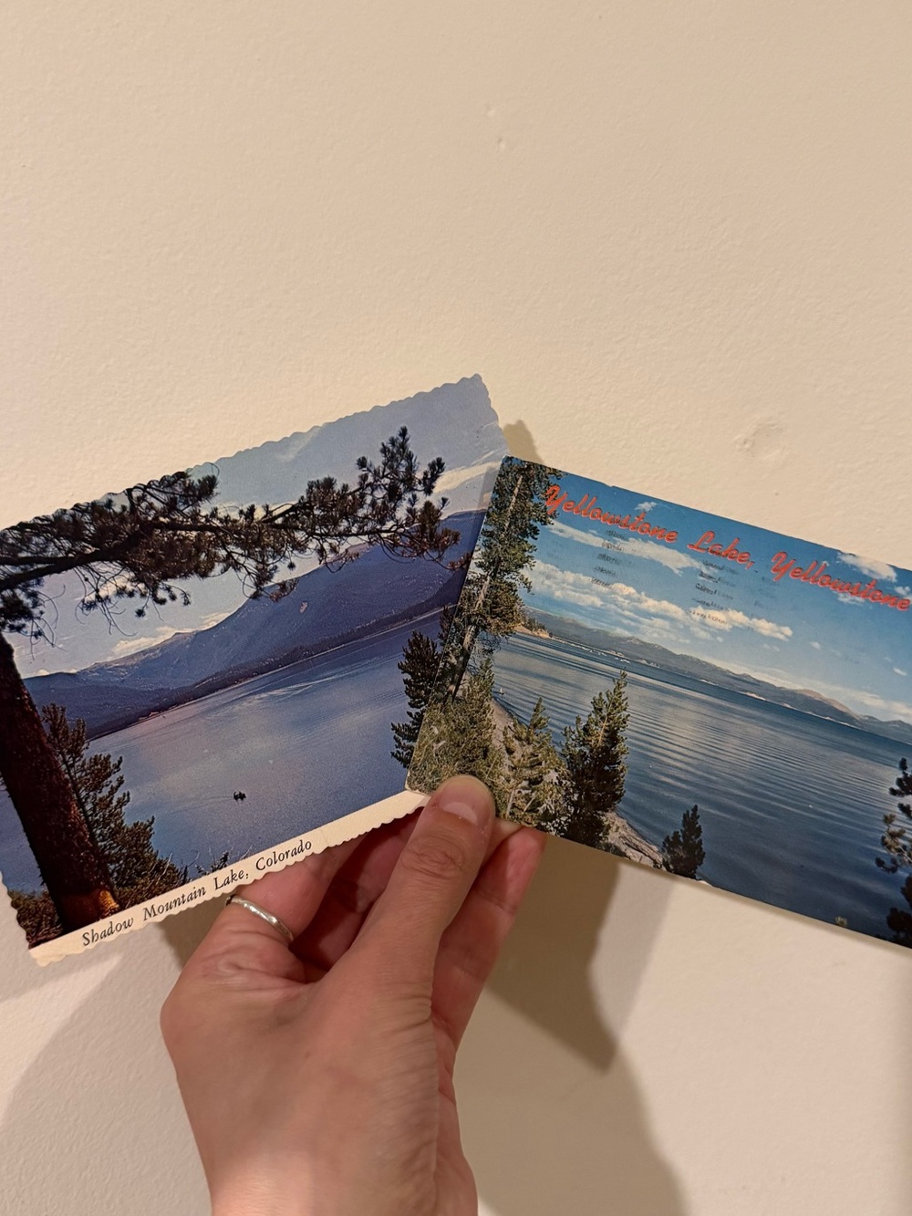 Vintage postcards